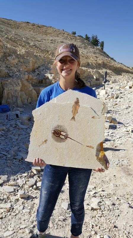 fossil hunting in wyoming.